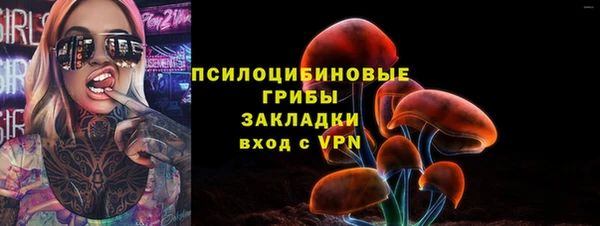 spice Гусев