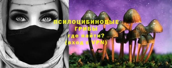 прущая мука Дмитровск