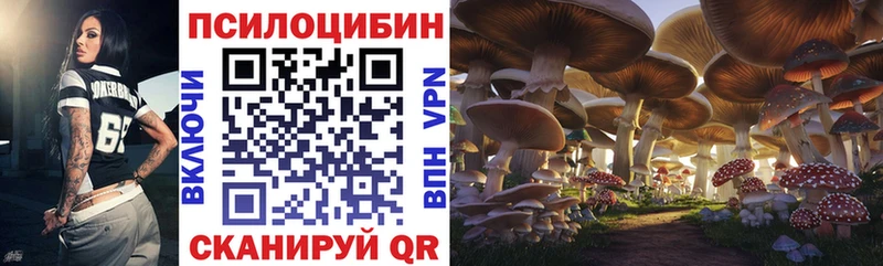 Псилоцибиновые грибы мицелий  Купить  Первомайск 