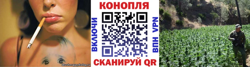 Купить закладки  Первомайск  Бошки марихуана гибрид 